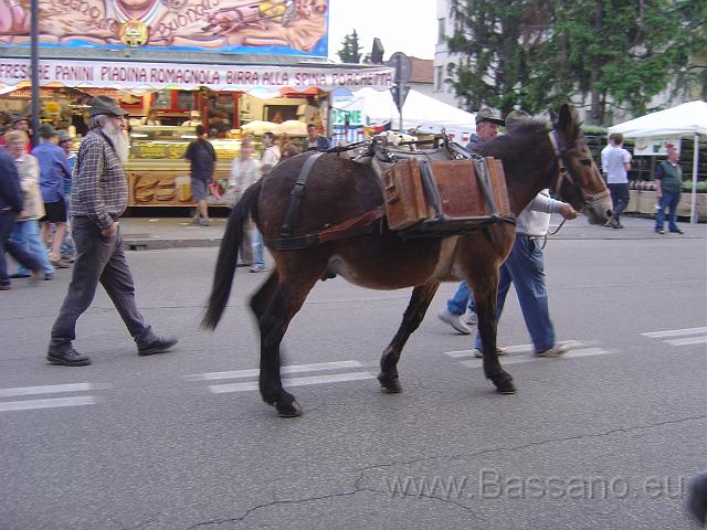 Adunata Alpini Bassano 2008 LG143.JPG